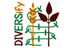 Logo DIVERSify